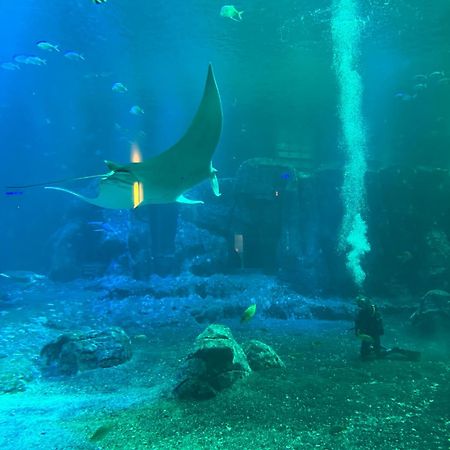 Les Pieds Dans L'Eau, Frond De Mer ブローニュ・シュル・メール エクステリア 写真